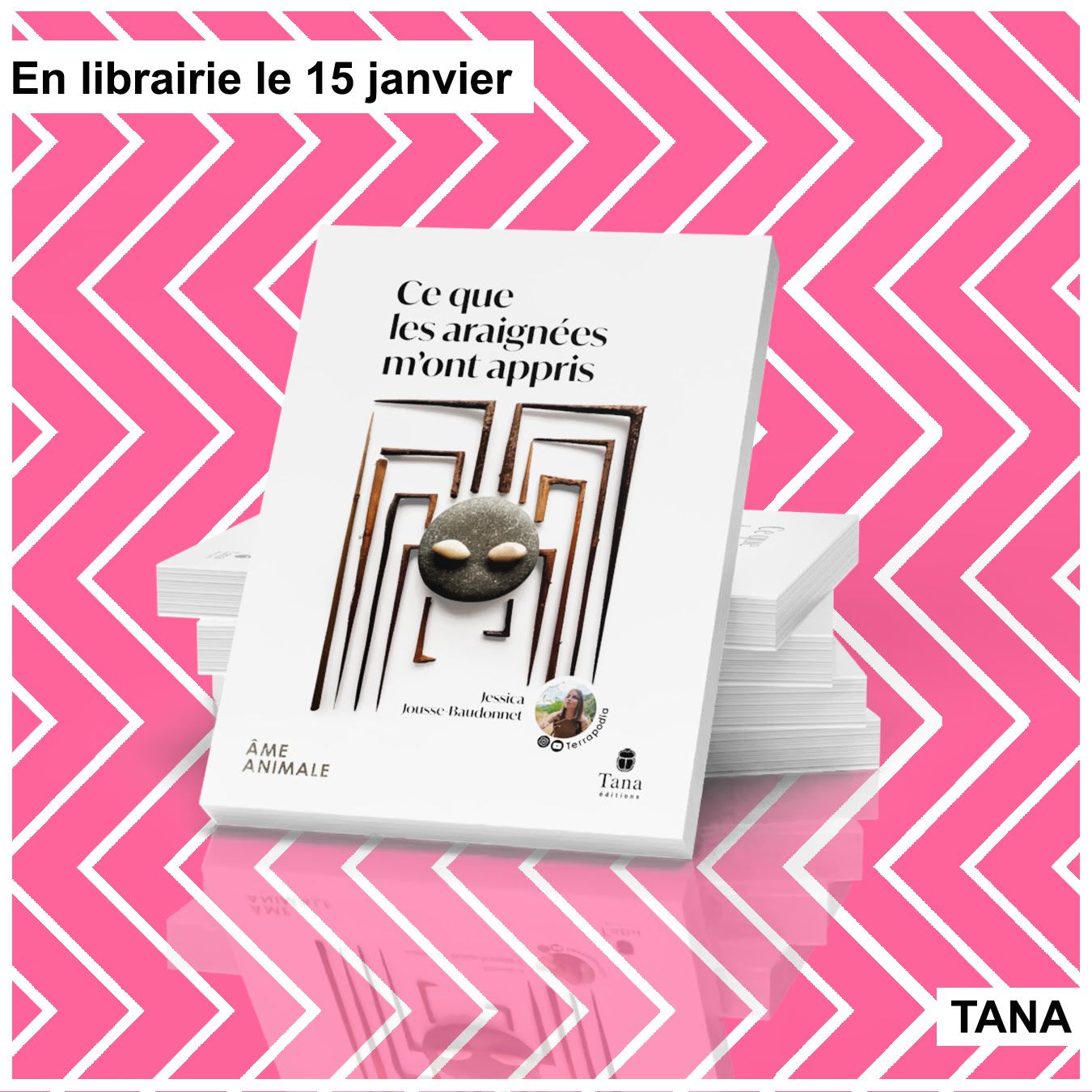 D&rsquo;arachnophobe à défenseure, le virage à 180° d&rsquo;une Perpignanaise face aux araignées