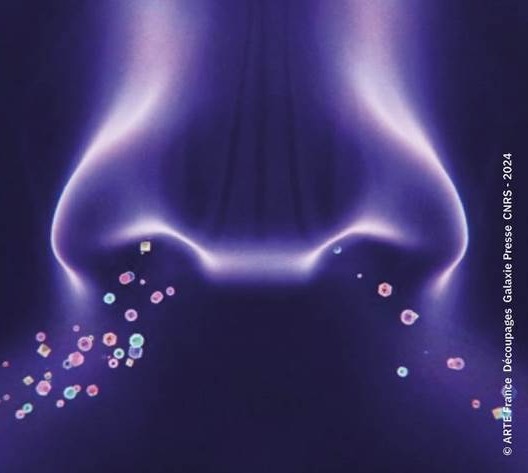 L&rsquo;odorat, ce sens oublié que la science réveille à Montpellier