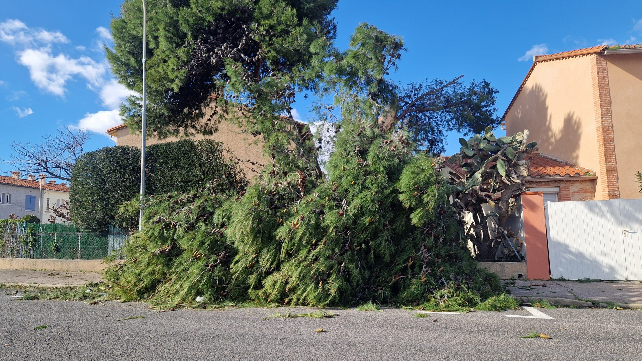 Perpignan : après la tempête Nils, circulation coupée en centre-ville