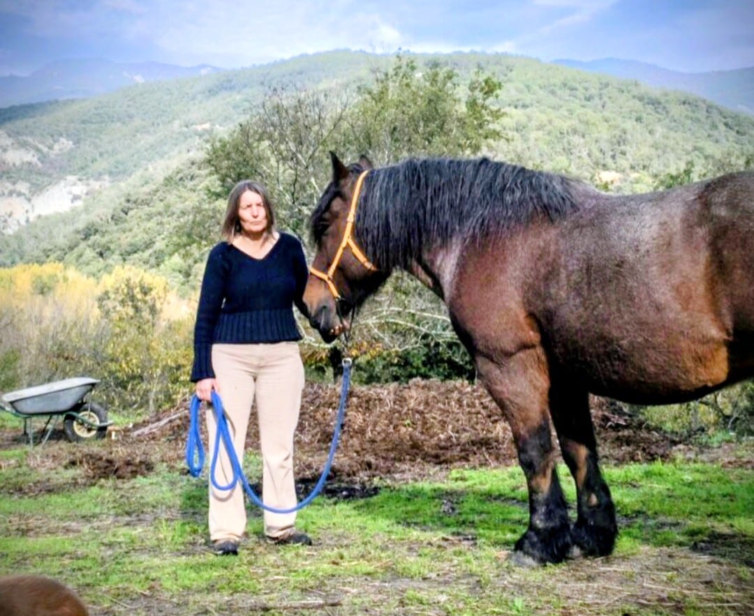 Quand la nature s’emballe, l’équilibre intérieur explose à Perpignan