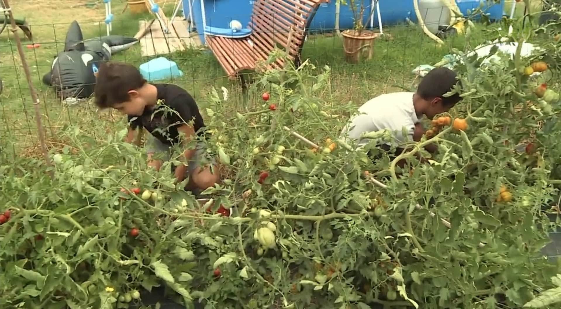 L’appel du coeur qui bouleverse : Ces enfants que VOUS pouvez sauver de la tristesse cet été !