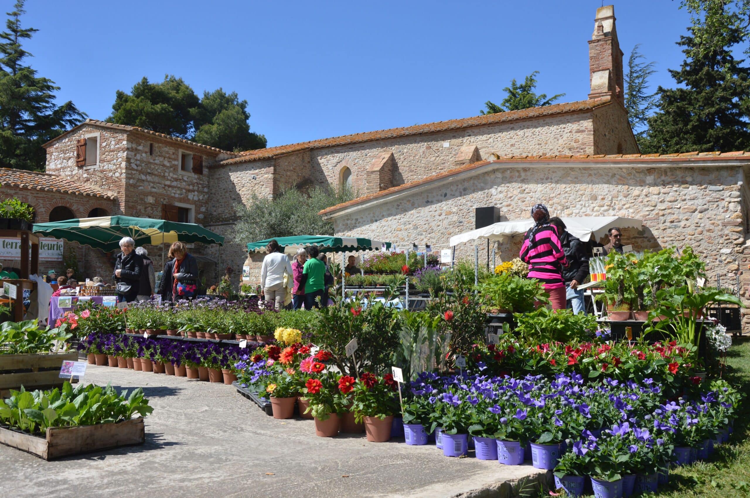 Le site de Juhègues se transforme en paradis floral pour les Floralies à Torreilles