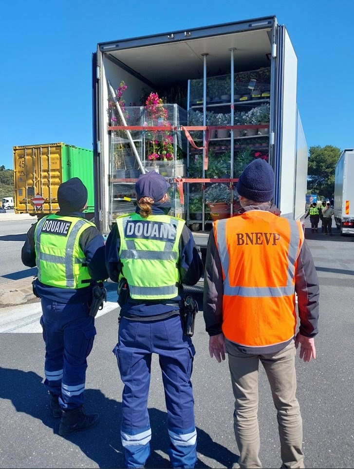 Coup de filet anti-pesticides sur l’A9 : la Douane de Perpignan frappe fort
