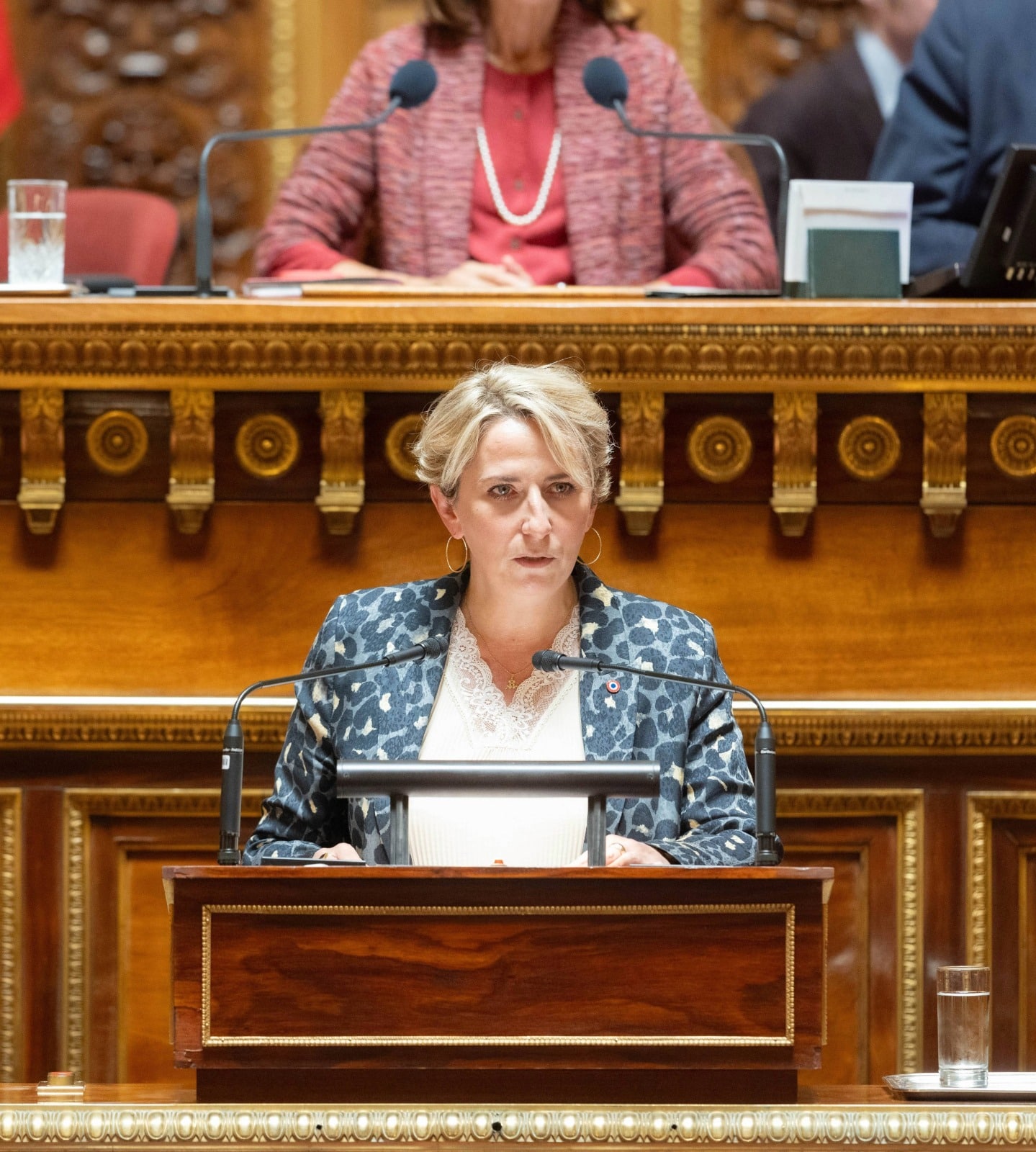 Le Sénat serre la vis avec le projet de loi RIPOST