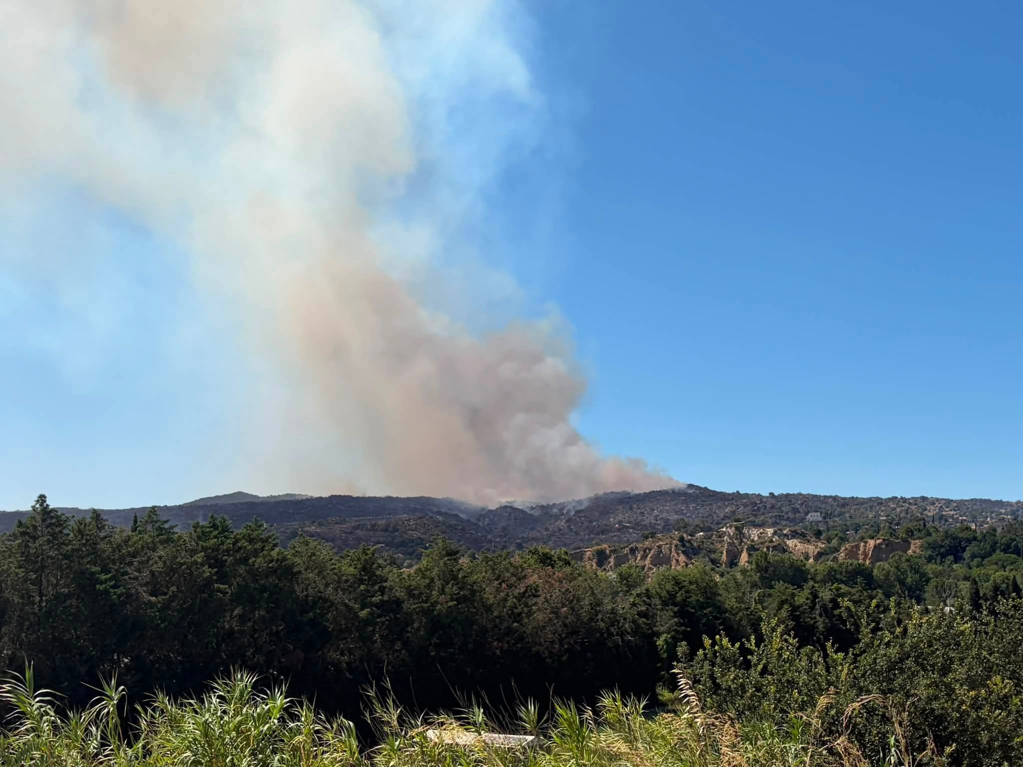Incendie de forêt : les bons réflexes qui peuvent sauver des vies