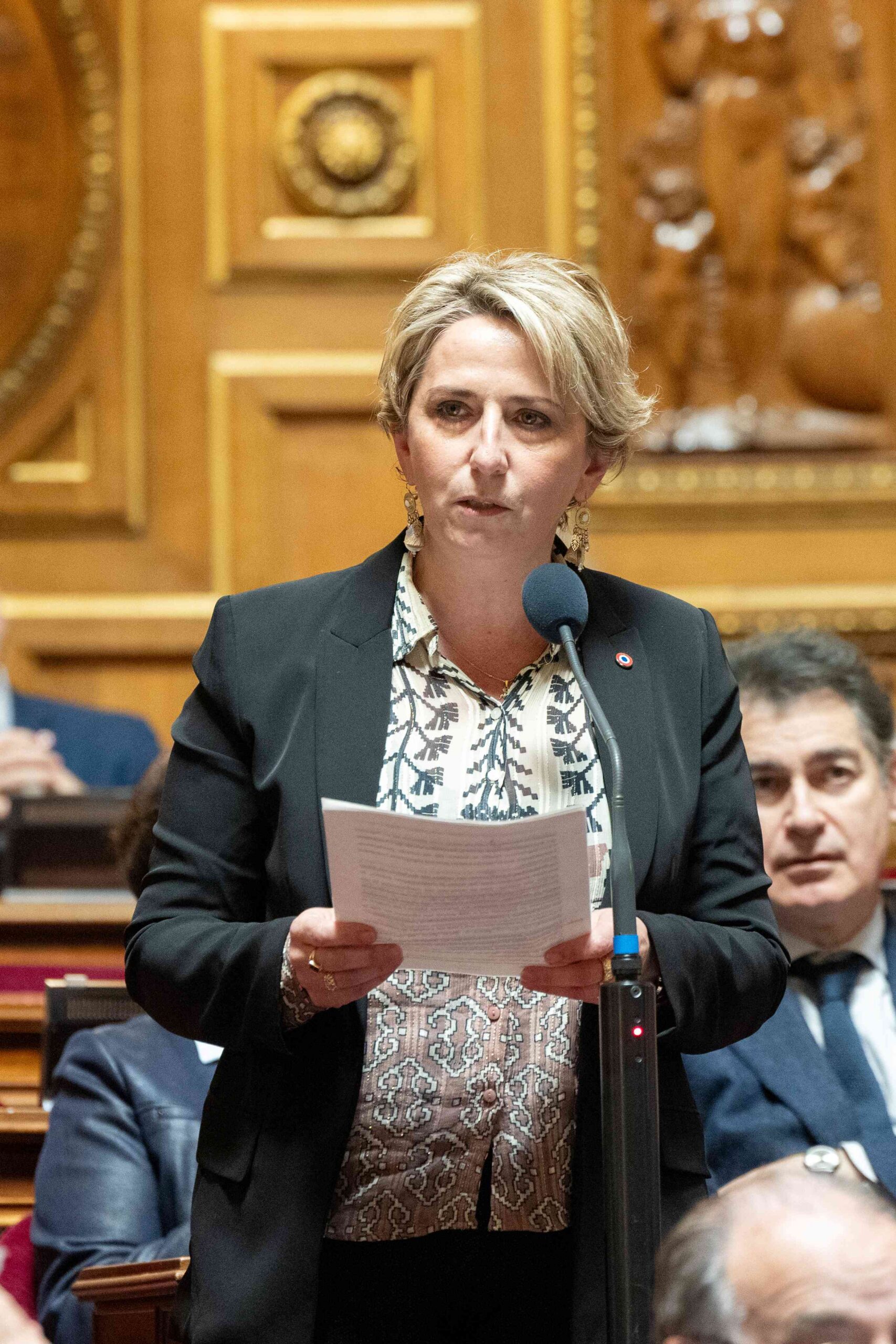Liaison Perpignan-Orly menacée : la sénatrice Lauriane Josende monte au front contre l’asphyxie du ciel catalan